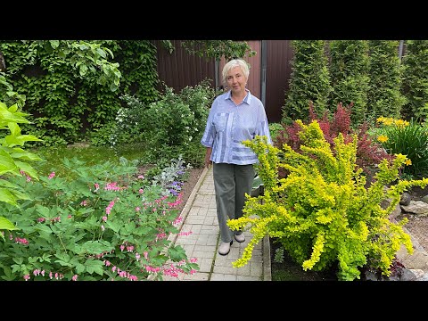 Видео: Обзор сада - в конце холодного июня