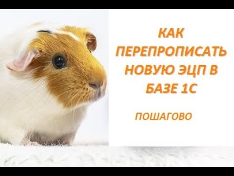 Видео: КАК ПЕРЕПРОПИСАТЬ НОВУЮ ЭЦП В БАЗЕ 1С