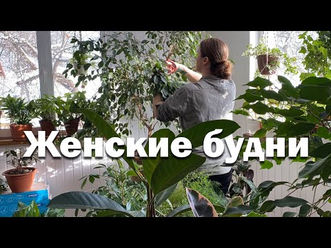 Видео: Обустраиваю деревенский дом // зимний сад // Перевели дочку на семейное