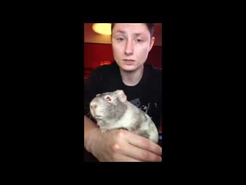 Видео: Михаэль Драу: "Хикикомори"/Перископ гр. "Отто Дикс"