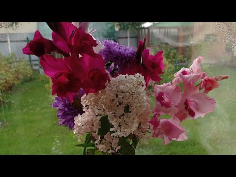 Видео: Жизнь на крайнем севере/заброшенный сад/как всё успеть