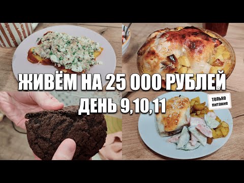 Видео: Живём на 25000 рублей в месяц/Экономное меню на семью из 4 человек