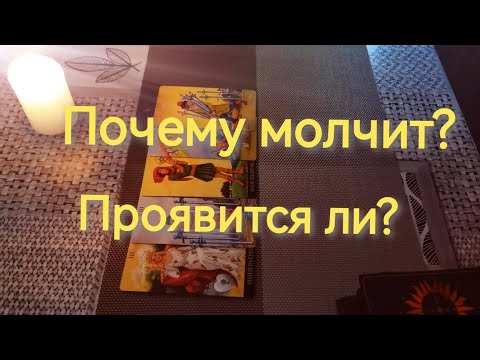 Видео: Почему молчит и проявится ли в ближайшее время⁉️