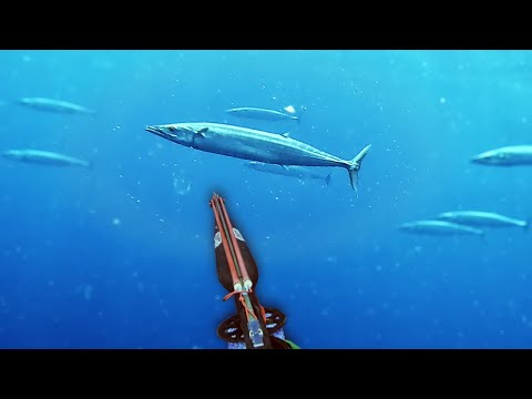 Видео: БЕЗУМИЕ Ваху и Джека! Подводная охота на *секретном* выступе