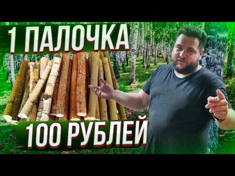 Видео: БИЗНЕС БЕЗ ВЛОЖЕНИЙ/ПРОДАЕМ ВЕТКИ ЗА ДОРОГО