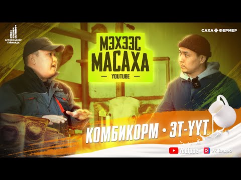 Видео: Масаха Мэхээс I Комбикорм: Эт-үүт