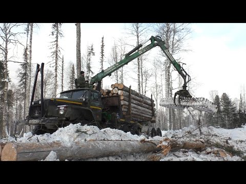 Видео: Вывожу остатки леса. Не вышел в подъём. Конец 2024 года.