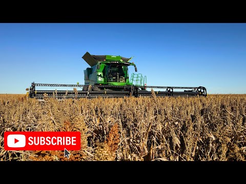 Видео: Канзас Майло Харвест