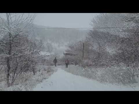 Видео: 8 марта в Тигровом