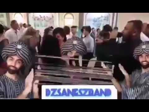 Видео: дучу и фрику 2020