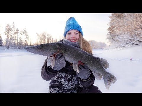 Видео: УЕХАЛА В ГЛУШЬ НА РЫБАЛКУ. Щука на жерлицы. Промысловая рыбалка на реке.