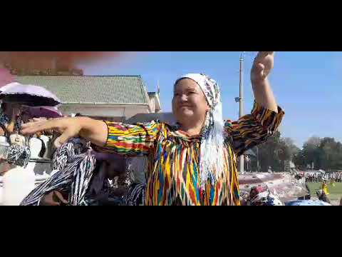 Видео: 31 октября 2025 г.