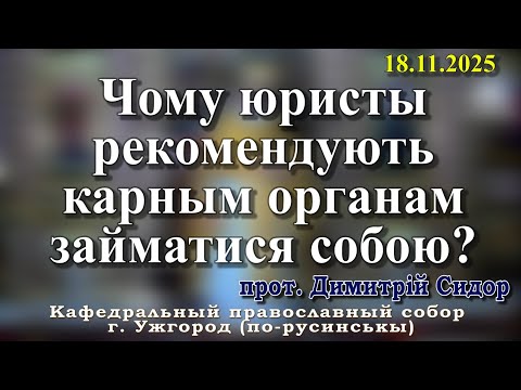 Видео: Чому юристы рекомендують карным органам займатися собою?18.11.2025, прот. Димитрій Сидор