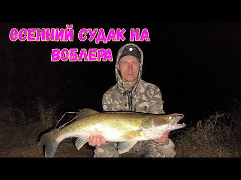 Видео: ЛОВЛЯ СУДАКА ПО ТЕМНОМУ НА ВОБЛЕРА...р.ДНЕПР