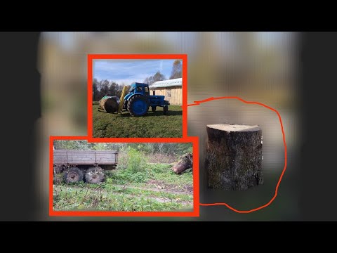 Видео: Т40 vz ЗиЛ 157. БИТВА ПНЁМ ВЕСОМ ПОЛ ТОННЫ ! ! !