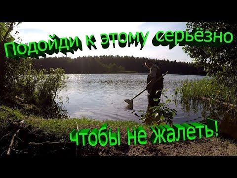 Видео: Какой скуп выбрать! Выбор Скупа. В поиске старины.