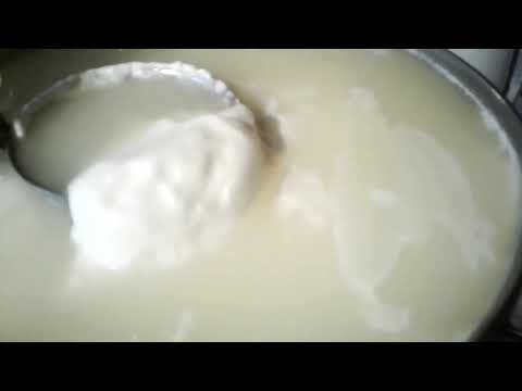 Видео: Импровизация на счёт сыра.New goat cheese.