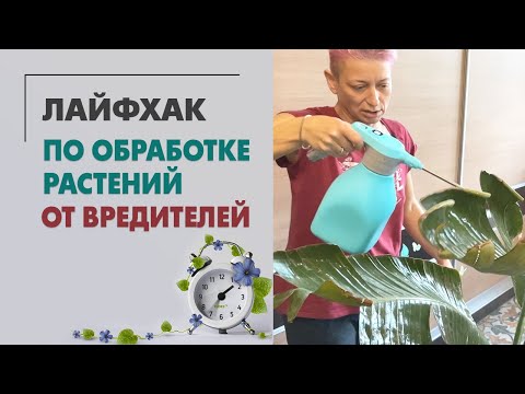 Видео: ЛАЙФХАК - как сэкономить время и обработать от вредителей много растений за 3 минуты