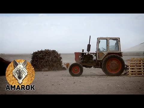 Видео: Транс-азиатская экспедиция Amarok. Фильм 6