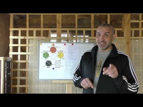 Видео: Лекция Цигун  Столбовое Стояние 1.