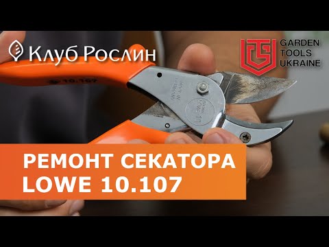 Видео: Ремонт секатора LOWE 10.107 после обрезки 25000 кустов голубики