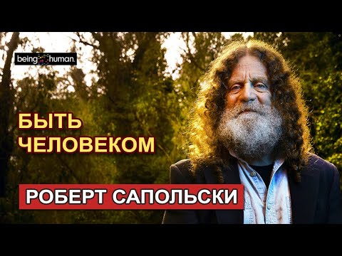 Видео: Роберт Сапольски "Быть человеком". Что можем только мы?