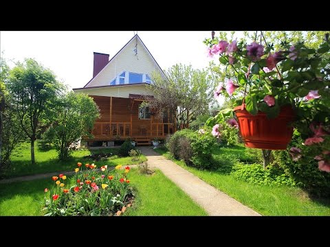 Видео: Дом, где живет Кот (Лето) :-)