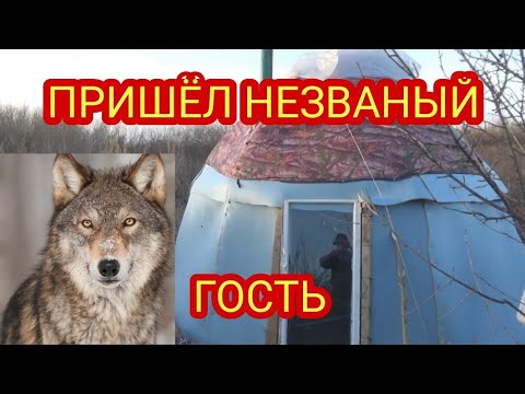 Видео: РЫБАЛКА И САМАЯ СТРАШНАЯ НОЧЬ В ХИЖИНЕ.