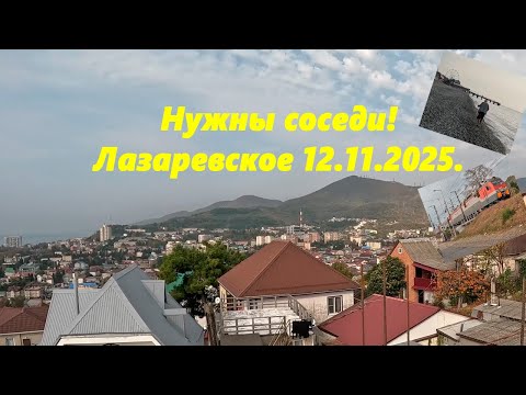 Видео: Нужны соседи! Лазаревское 12.11.2025