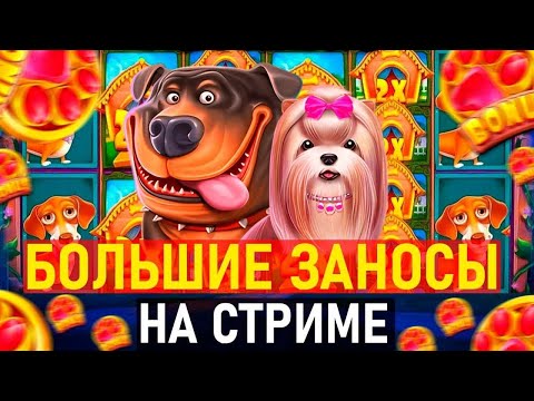 Видео: СТРИМ ОНЛАЙН! ЛОВИМ БОНУСЫ МАКСВИН #Shorts #стрим #онлайн #слоты