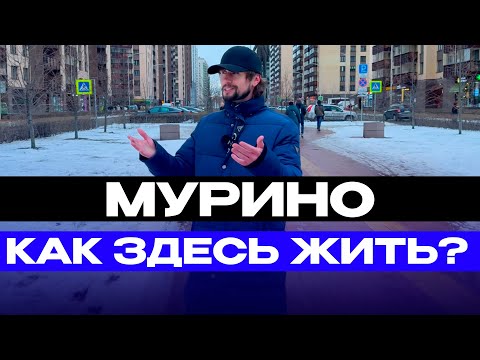 Видео: Мурино как здесь жить?