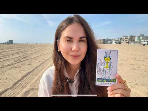 Видео: БЛИЗНЕЦЫ - ТАРО ПРОГНОЗ НА НОЯБРЬ