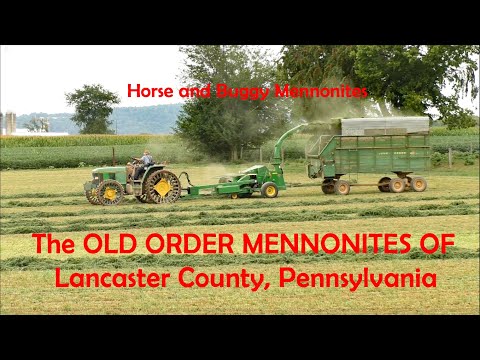 Видео: Меннониты старого обряда и земля, на которой они живут. Округ Ланкастер, Пенсильвания. Лошадь и п...