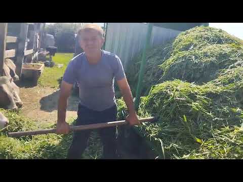 Видео: Самодельный Кир 1.2 м