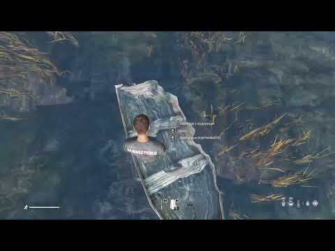 Видео: DayZ, ищу новый серв. Обзор сервера Hamsters PVE / Deerisle ч.1