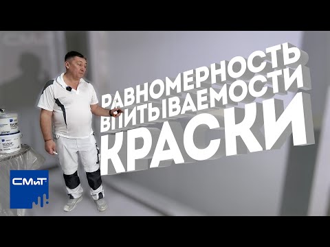 Видео: Равномерность впитываемости краски | Зачем нужен праймер