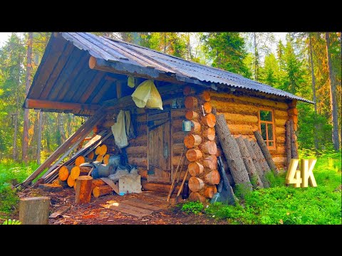 Видео: ЛЕТО, ТАЙГА, РЫБАЛКА, ИЗБА, ВСЕ ЭТО НАШЕ И НАШИ КРАЯ | ЧАСТЬ ВТОРАЯ.