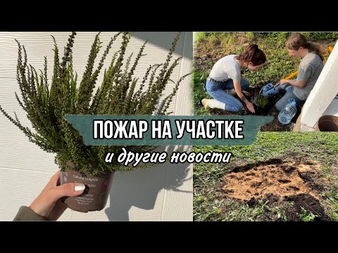 Видео: Возгорание торфа на участке. Работа на земле. Посадка вереска. Дом из бытовки. Дачный дом