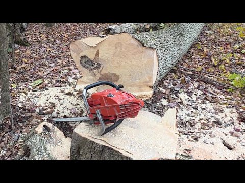 Видео: Jonsered 2171 с верхней частью 51,4 мм против Makita EA7900P Felling Ash & Vevor Grinder Sharpene...