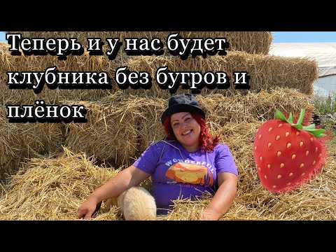 Видео: Обзор теплиц с клубникой