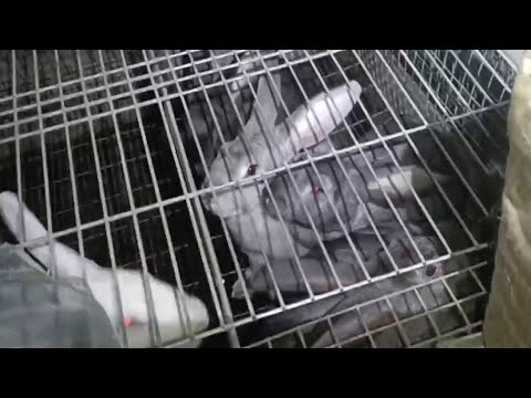 Видео: Поки я ДУМАВ про ЦЕ, то люди ВЖЕ так ДАВНО роблять😩