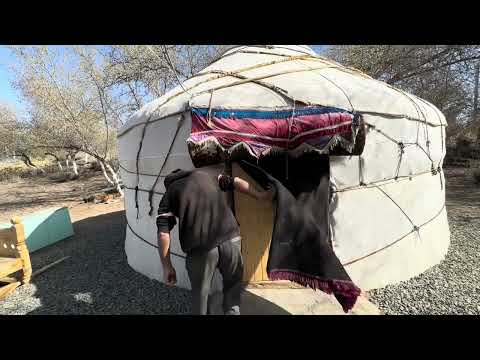 Видео: Сув буйида ойлавий дам олишга зур жой #Рыбакихорезма
