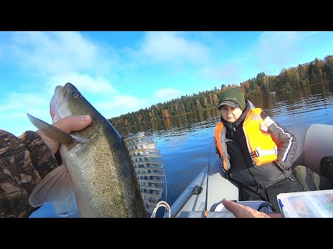 Видео: Отчёт о рыбалке. Белый Городок от 18.10.25.