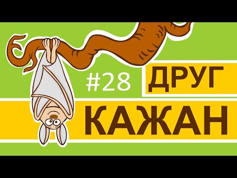 Видео: Мультсеріал Пригоди лісових друзів – Друг Кажан