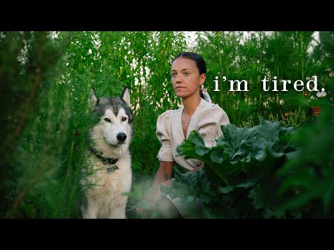 Видео: #69 Маленькие привычки, которые исцелят уставшее сердце