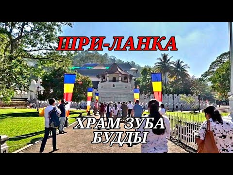 Видео: КАНДИ. Храм Зуба Будды. ШРИ-ЛАНКА.