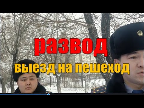 Видео: Развод выезд на пешеход. Глас народа.