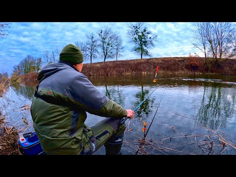 Видео: Відкрив Сезон по ПОПЛАВКУ на р. Горинь !!! Плотва Головень Ялець
