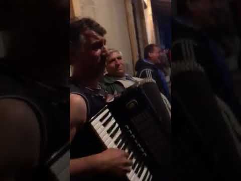 Видео: Белята