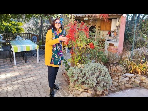 Видео: Моя очередная ВЕСНА/ПОГОДА была,как на заказ! Рыбный ресторан с видом на море